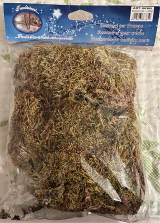 Accessori Presepe TOGNA S.R.L. - Muschio