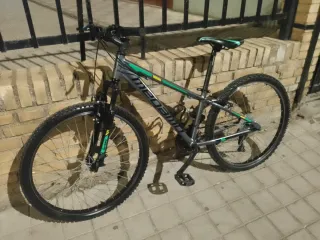 Bicicleta Megamo Gris y Verde