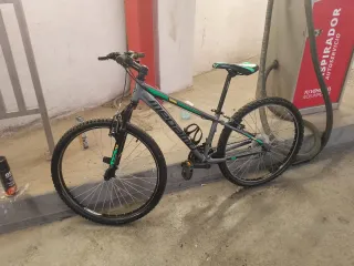 Bicicleta Megamo Gris y Verde