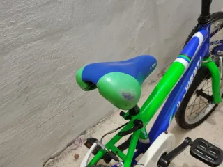 Bicicleta infantil azul y verde