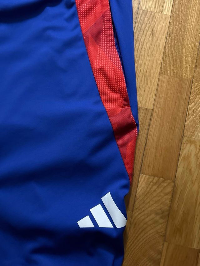 Pantaloni Adidas Blu e Rossi