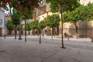 Piso en venta en Centro en Jerez de la Frontera