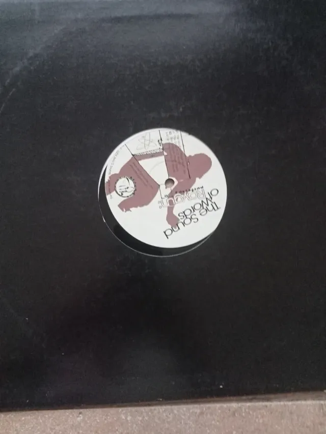 Raygun - The Sound of Words Vinilo