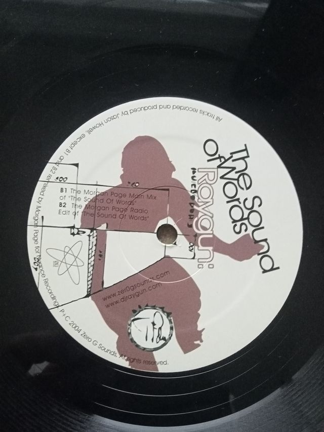 Raygun - The Sound of Words Vinilo