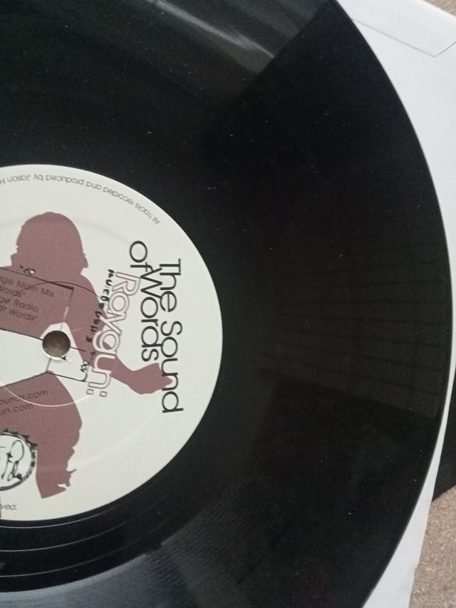 Raygun - The Sound of Words Vinilo