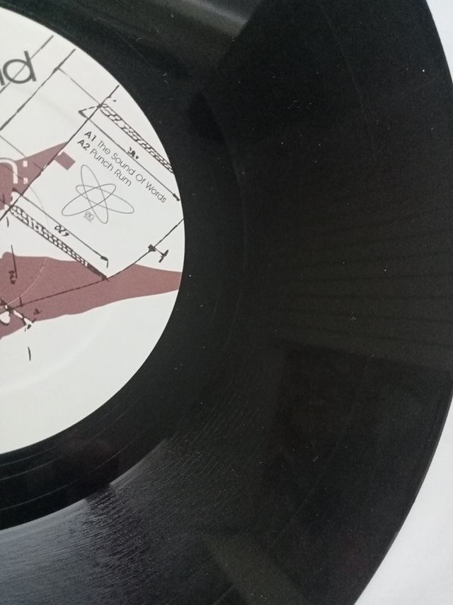 Raygun - The Sound of Words Vinilo