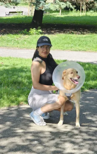 Paseo y cuidado de perros, gatos, etc.