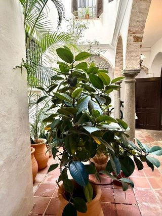 Ático en venta en Tarifa