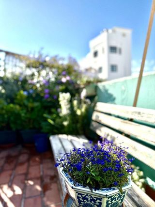 Ático en venta en Tarifa