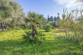 Casa rural en alquiler en Pollença en Pollença