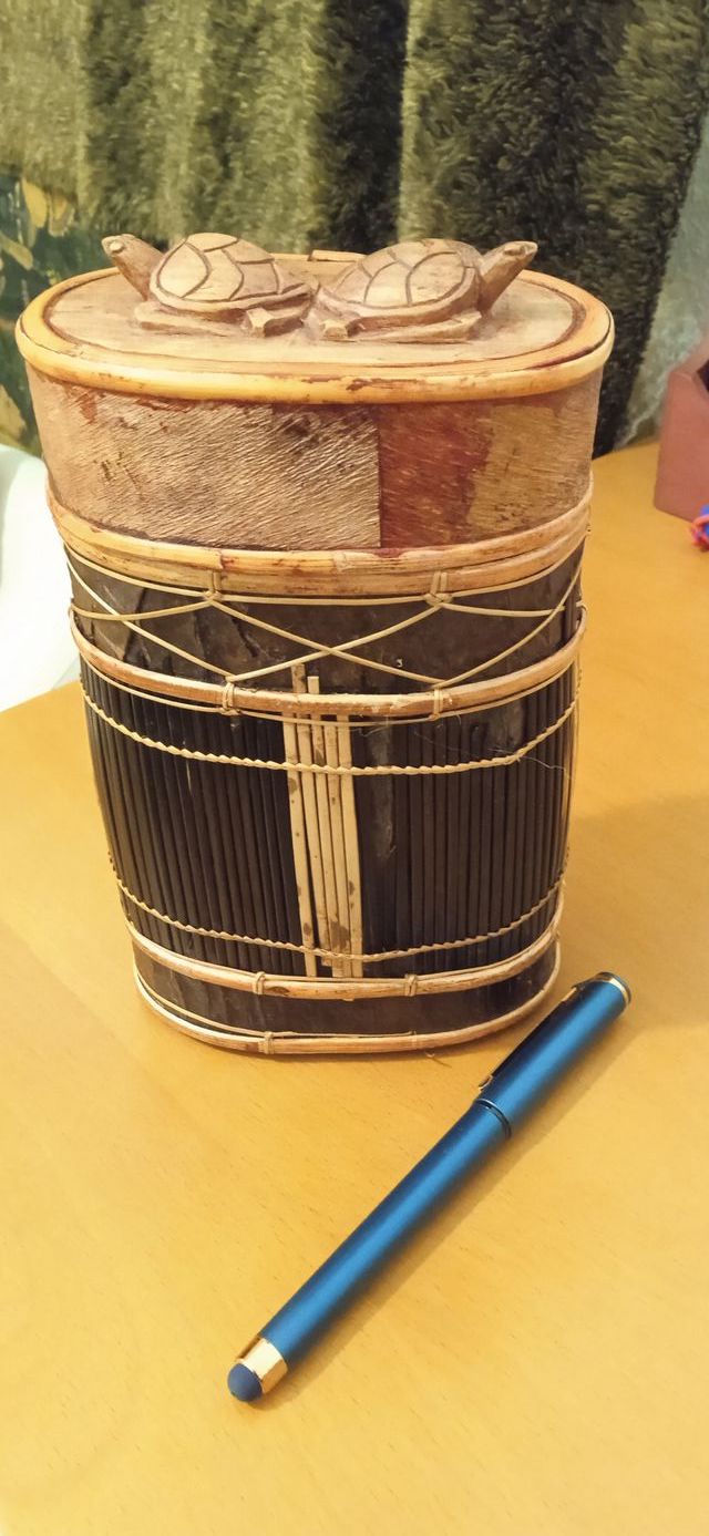 Penna e scatola a forma di tartaruga fatte a mano