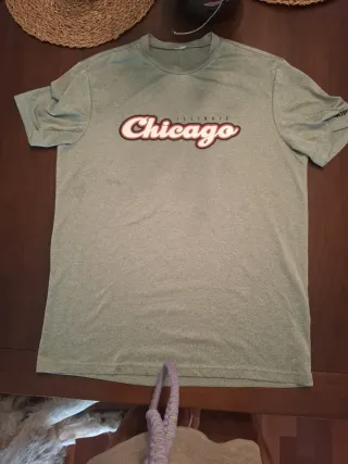 Camiseta Chicago Illinois