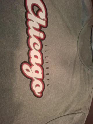 Camiseta Chicago Illinois