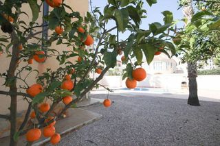 Casa en venta en Campos de Golf - Villa Martin - Los Dolses en Orihuela