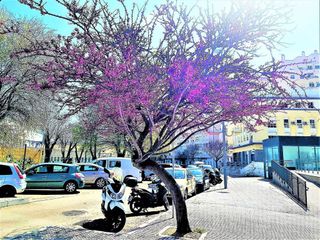 Piso en venta en La Paz - Segunda Aguada - Loreto en Cádiz