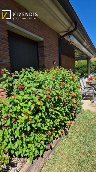 Chalet en venta en Alpicat