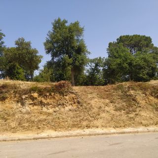 Terreno edificable en venta
