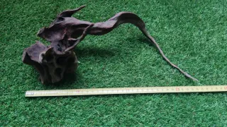 Raíz de madera para acuario