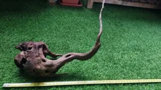 Raíz de madera para acuario