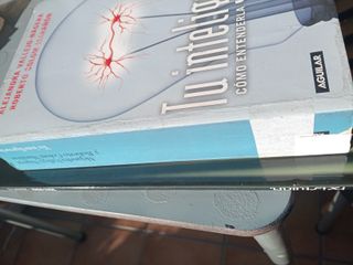 TU INTELIGENCIA (Spanish Edition)