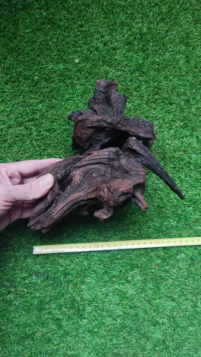 Radice in legno per acquario