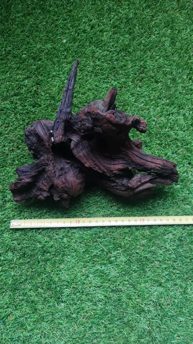 Radice in legno per acquario