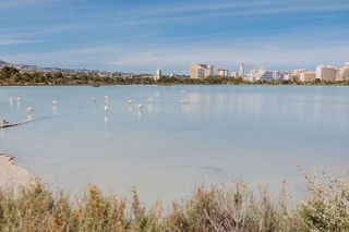 Estudio en venta en Zona Playa del Bol - Puerto en Calpe/Calp