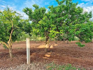 Casa rural en venta en Ulldecona