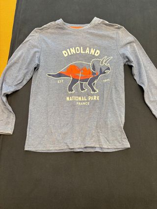 Camiseta niño manga larga Dinoland