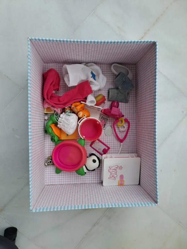 Lote de Muñecas Nancy y Accesorios