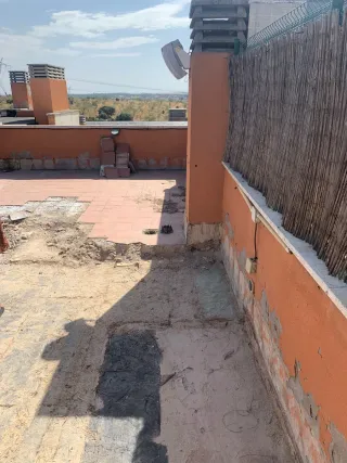 Reformistas 

