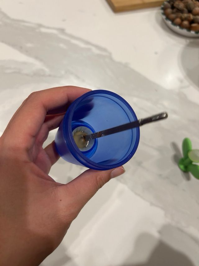 Macina Sale Alessi Blu/Verde Vetro/Plastica