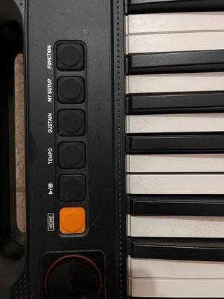 Teclado Casio CT-S100