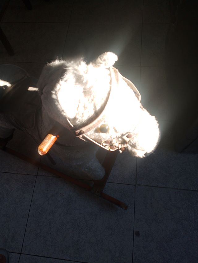 Caballito balancín para niños