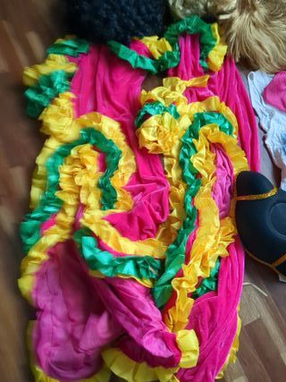 Lote Disfraces Carnaval Multicolor