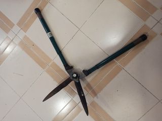 Forbici tagliasiepi verdi