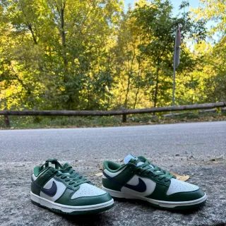 ✨ Nike Dunk Low George Green ✨
