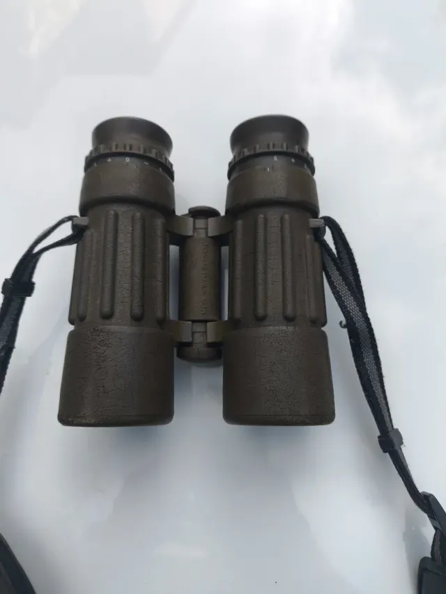 Prismáticos Carl Zeiss 8x30B Safari Dialyt, caza