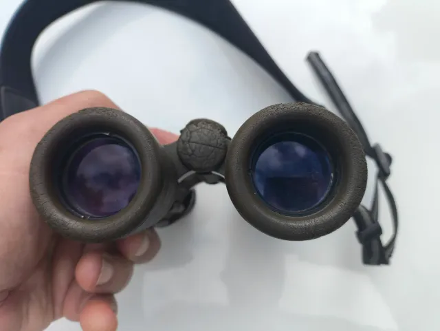 Prismáticos Carl Zeiss 8x30B Safari Dialyt, caza