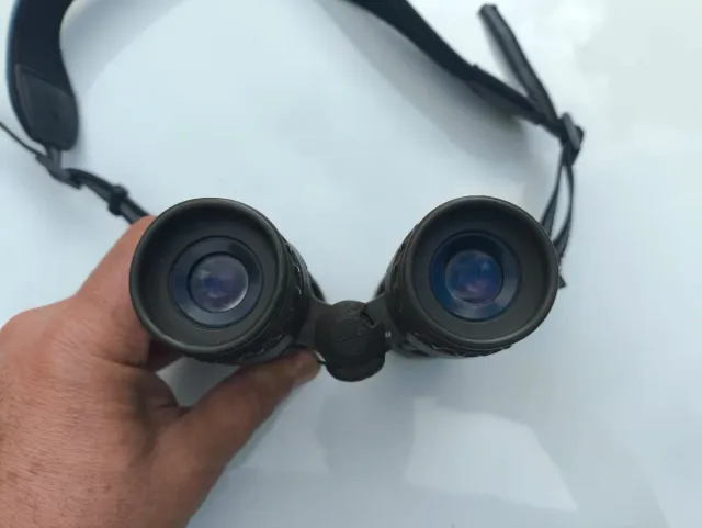 Prismáticos Carl Zeiss 8x30B Safari Dialyt, caza