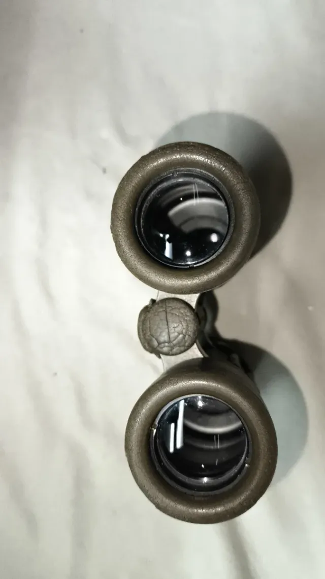 Prismáticos Carl Zeiss 8x30B Safari Dialyt, caza