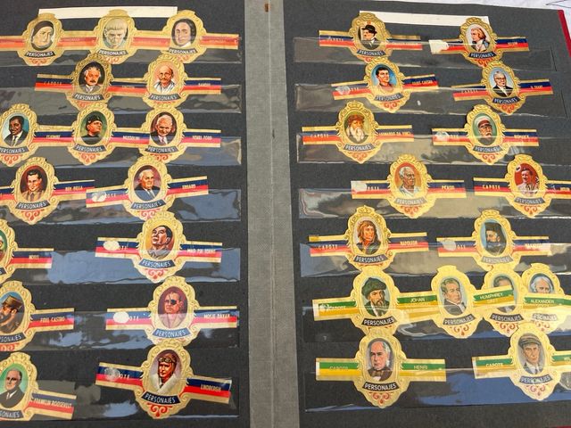 Classializador com vitolas