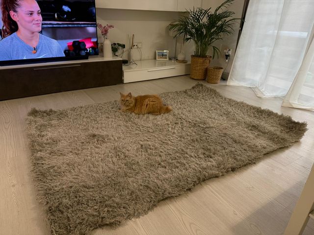 Alfombra salón beige/gris