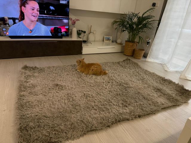 Alfombra salón beige/gris