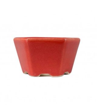 Vaso bonsai hexagonal Yixing 7cm vermelho
