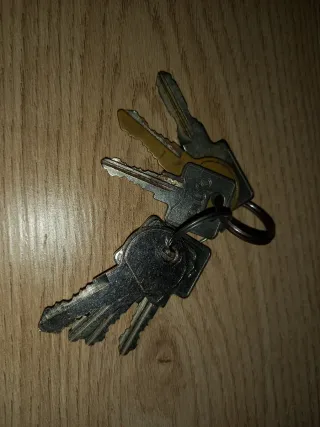 Cofre portaequipaje o para mascotas