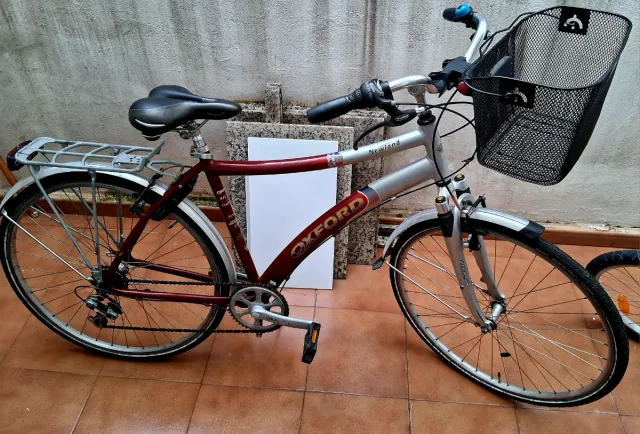 Bicicleta Oxford Newland Belga