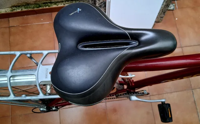 Bicicleta Oxford Newland Belga