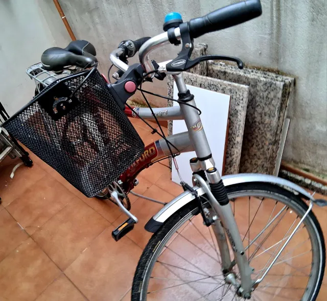 Bicicleta Oxford Newland Belga