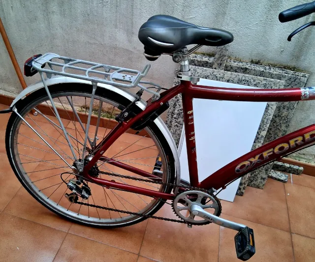 Bicicleta Oxford Newland Belga
